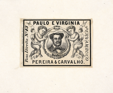 vizualizar o documento on line